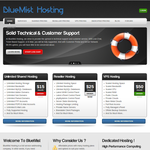 BlueMist Hosting Homepage